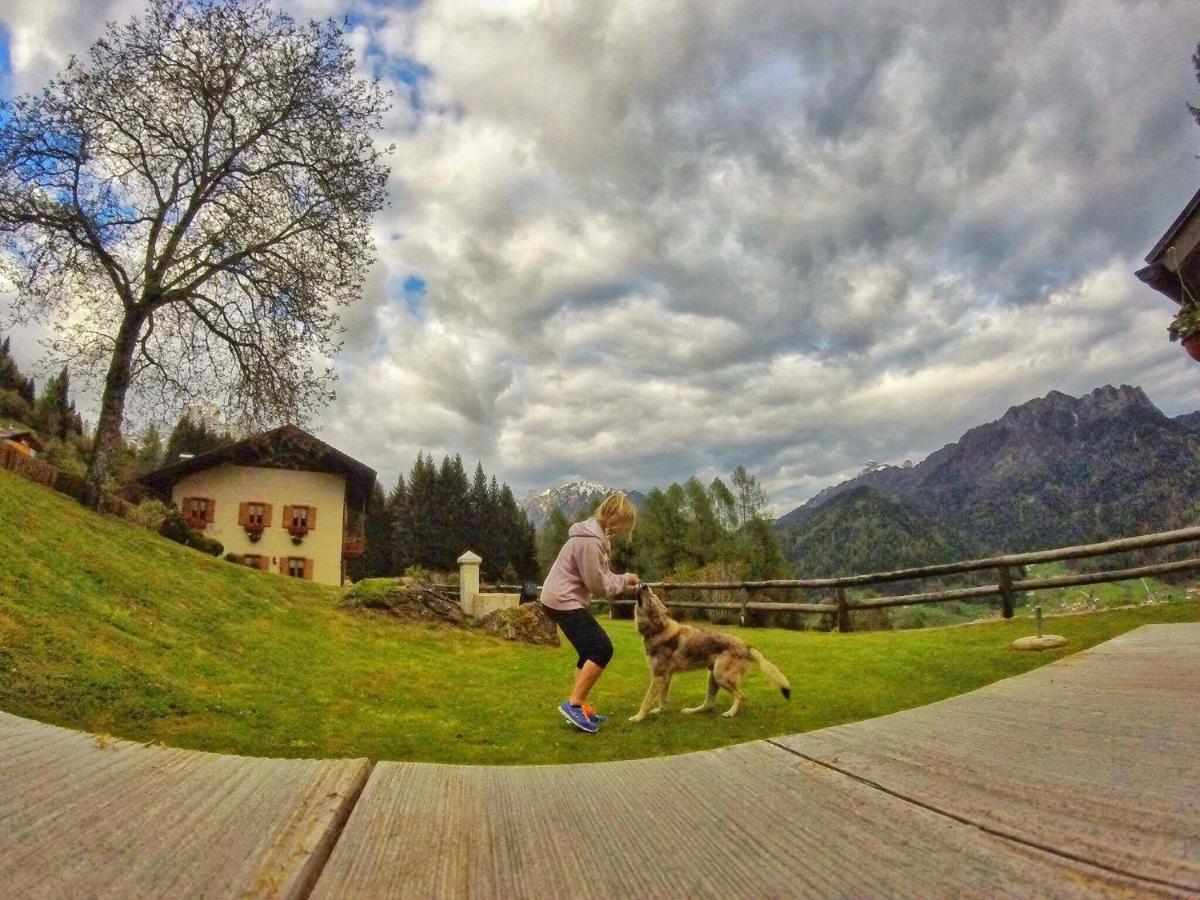 B&B Maso Al Cervo เฟียรา ดี พรีเมียโร ภายนอก รูปภาพ